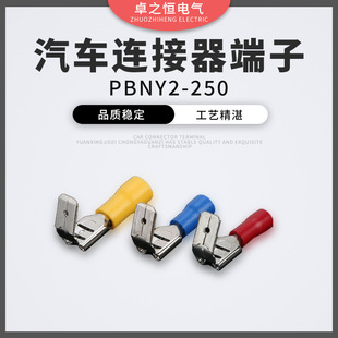 PBNY2-250������ɽ��^6.3��ɾ��� �A�^�����^�米���