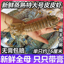 ���rƤƤ�r�r������lһ�����佷�}���ƤƤ�r���rȫĸ�и��r��