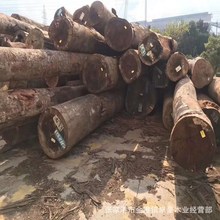 �������� ��������ԭľ��� �Z�а� ������ľ �ذ�Ҿ��� Ҏ��