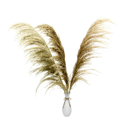 Manufactor Supplying Dried flowers 1 reed natural Botany Wedding celebration Hall Decorative flowers Spend eternity