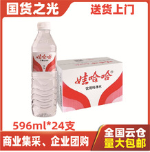 100箱包邮娃哈哈纯净水596ml 24瓶整箱批发 哇哈哈多仓就近发货