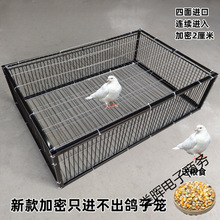 ��\����������ֻ�M�������ӻ\��jײ�T�������T�M��������