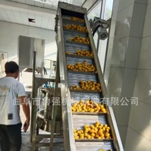 刺梨自动上料螺旋榨汁机 芦荟破碎压汁机 黄姜柠檬汁渣分离设备