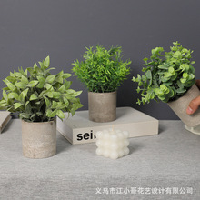 ����Gֲ�����⾰�bٻ������¿�����С����~���辰���R�d���Q