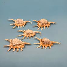 ϐ������Ȼؐ�������~��ˮ���쾰�bҾ��Ʒ���IƷ�[���S�����l