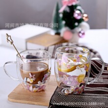 跨境干花双层杯防烫隔热家用高颜值冷热两用流沙杯高硼硅玻璃杯子