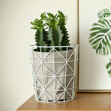 �Fˇ�����ռ{�@�F���@���g����@�ռ{�����S�҃����Fˇ�ռ{�@