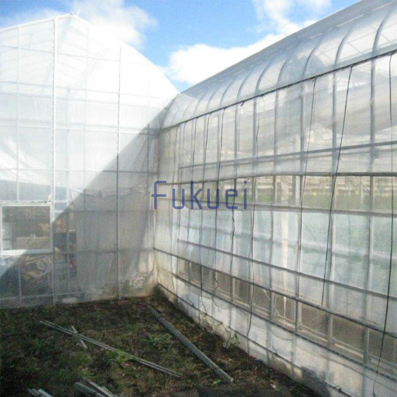 IMG_1632通るクン