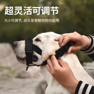 Pet Dog Muzzle to Prevent Break-Away, Universal Explosion-Proof for Medium and Large Dogs, Special for Labrador, Adjustable to Prevent Eating