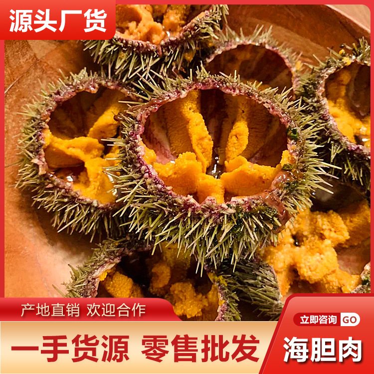 海胆肉批发包邮鲜活冷冻马粪海胆海胆黄刺生料理海鲜水产酒店供货