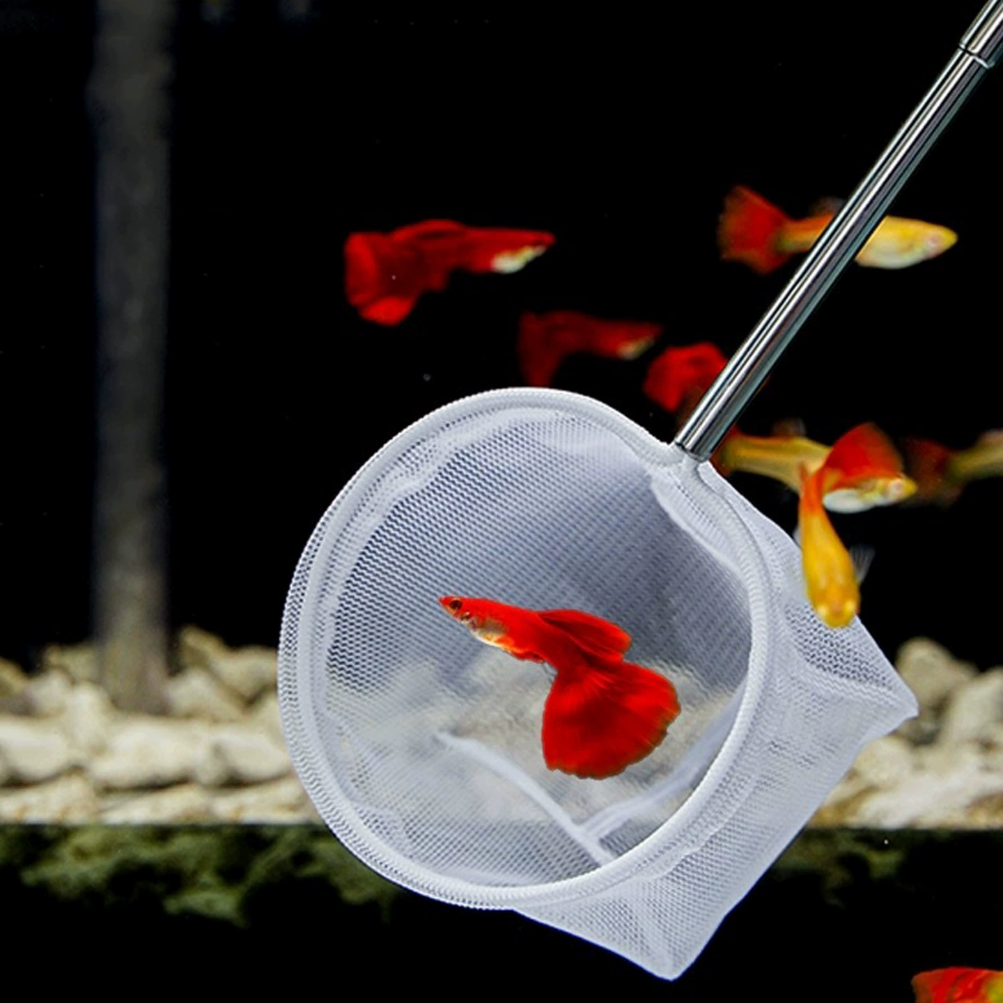 Aquarium, adjustable round square fishing net, P601