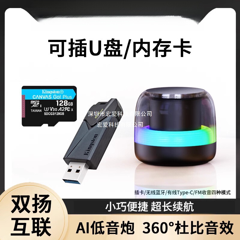 Portable Mini Speaker That Can Be Plugged into a USB Disk, Wirelessly Connected to a Mobile Phone, Bluetooth Computer, and a Speaker That Can Be Plugged into a Song Card
