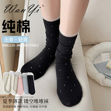 �W�t�ٽz��߅�m��Ů2025���ı���c��Ͳ�m�WԺ�L�A�c�Ѷ��m�o��