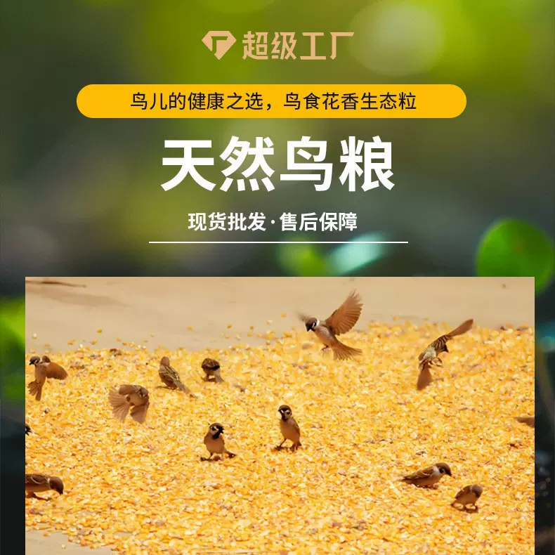 鸟粮适配麻雀斑鸠等小型鸟喂宠物猫草点缀草坪一粮多用实惠