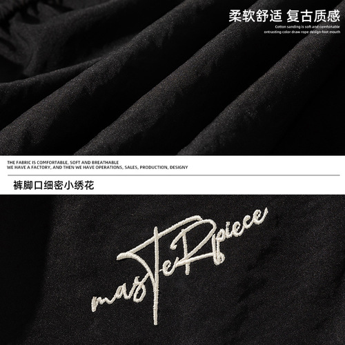 Pleated micro-pleated retro casual shorts summer loose American letter embroidery trendy brand sports five-point pants q