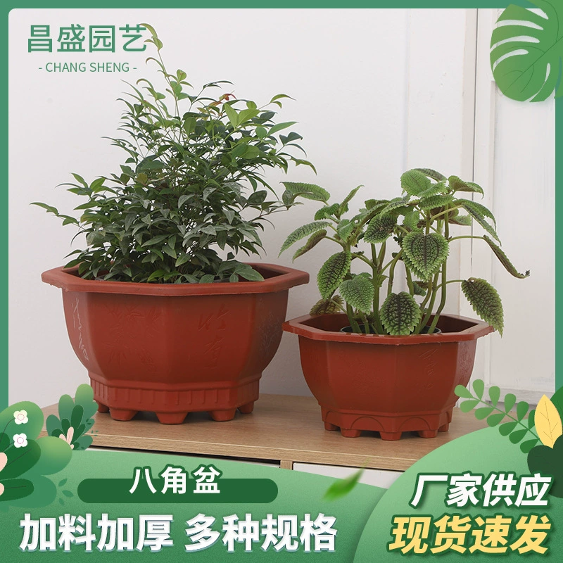 Производитель оптовый утолщение восьмиугольный горшок зеленый цветочный горшок пластиковый горшок утолщение восьмиугольный пластиковый цветочный горшок растение цветочный горшок