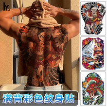 �¿�M���y���N��D�y����ˮ�����y���P�����~������y���N��