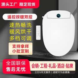 智能马桶盖速热式遥控款冲洗烘干妇洗家用220V中文工厂批发定制