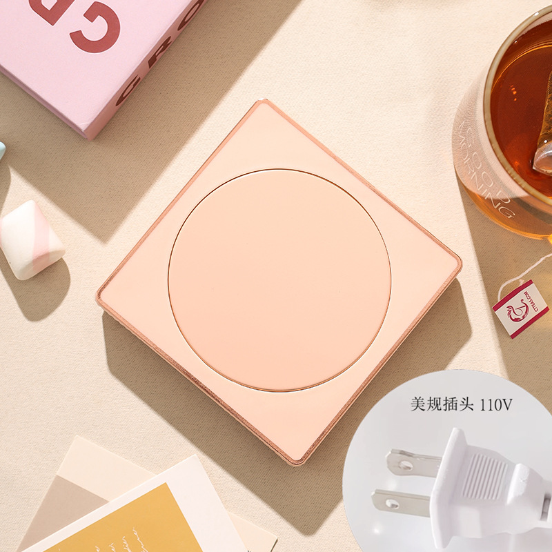 산수유 분말 미국 표준 110V