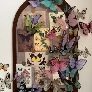 С�t������ë�ְ堝�N��Ƭ������ܛľ��չʾ�������P�������b�