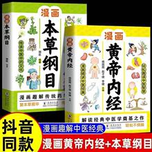 漫画黄帝内经 漫画本草纲目 儿童中医启蒙经典 中医药科普启蒙书