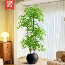 �͏d�[�����ͷ������Gֲ�҃Ȼ�����������Ը߶��p����������