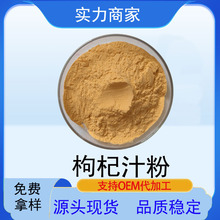 枸杞果粉红枸杞汁粉 现货 枸杞提取物红枸杞粉脱水枸杞粉枸杞生粉