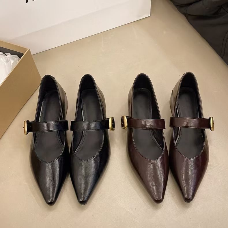New Soft Leather French-style Soft-soled Elegant Low-heel 2025 Mary Jane Women's Shoes With Pointed Toe And Chunky Heel,_vogvips.com