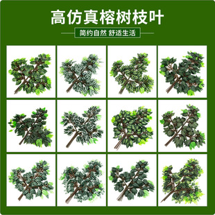 �羳�Ř�֦���~�����~�٘��쾰�@�ֹ��̶Y��ֲ���b��滨�Gֲ