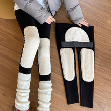 冬季新款女装兔貂绒护膝保暖裤加绒加厚棉裤螺纹高腰打底裤女外穿