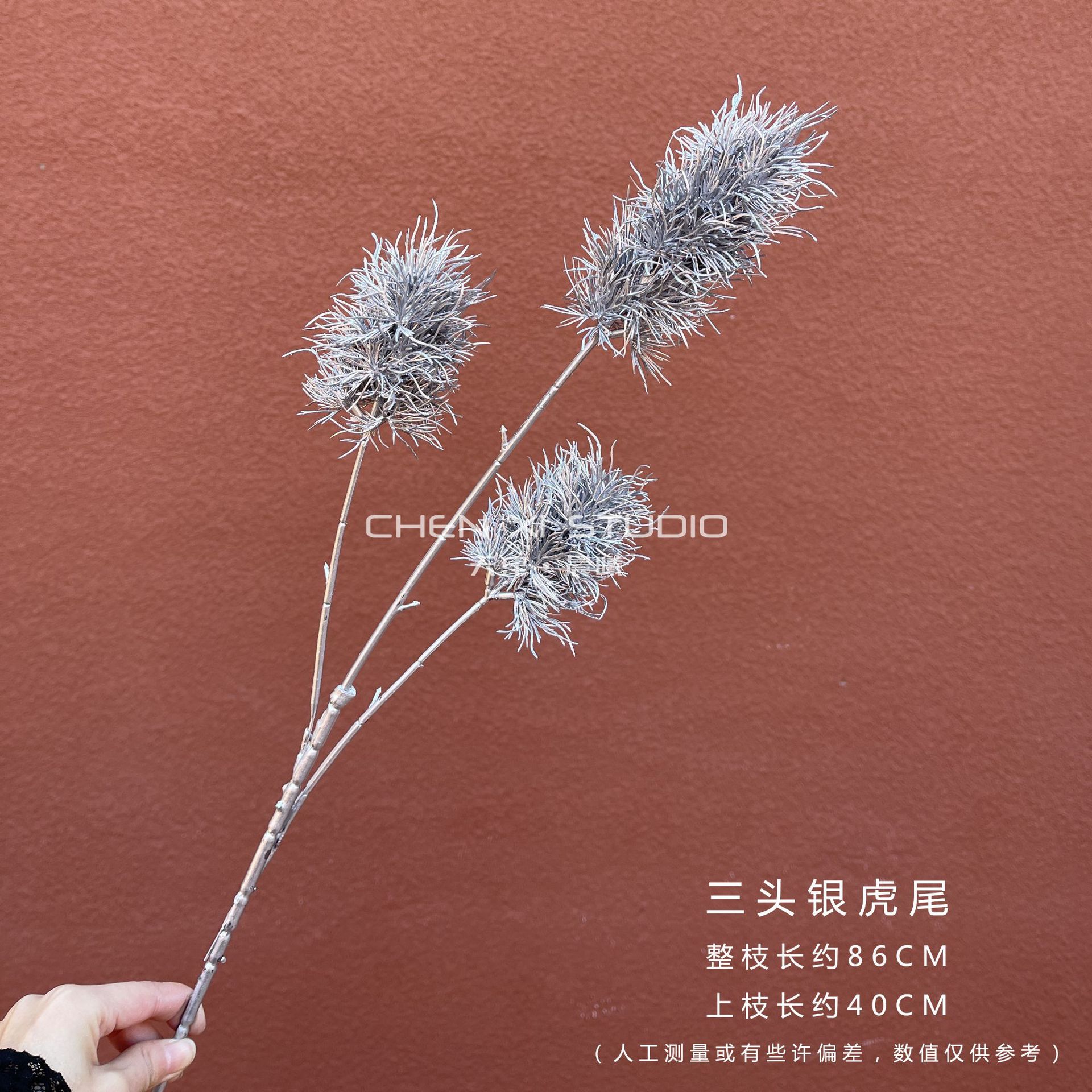 세 개의 머리와 호랑이 꼬리