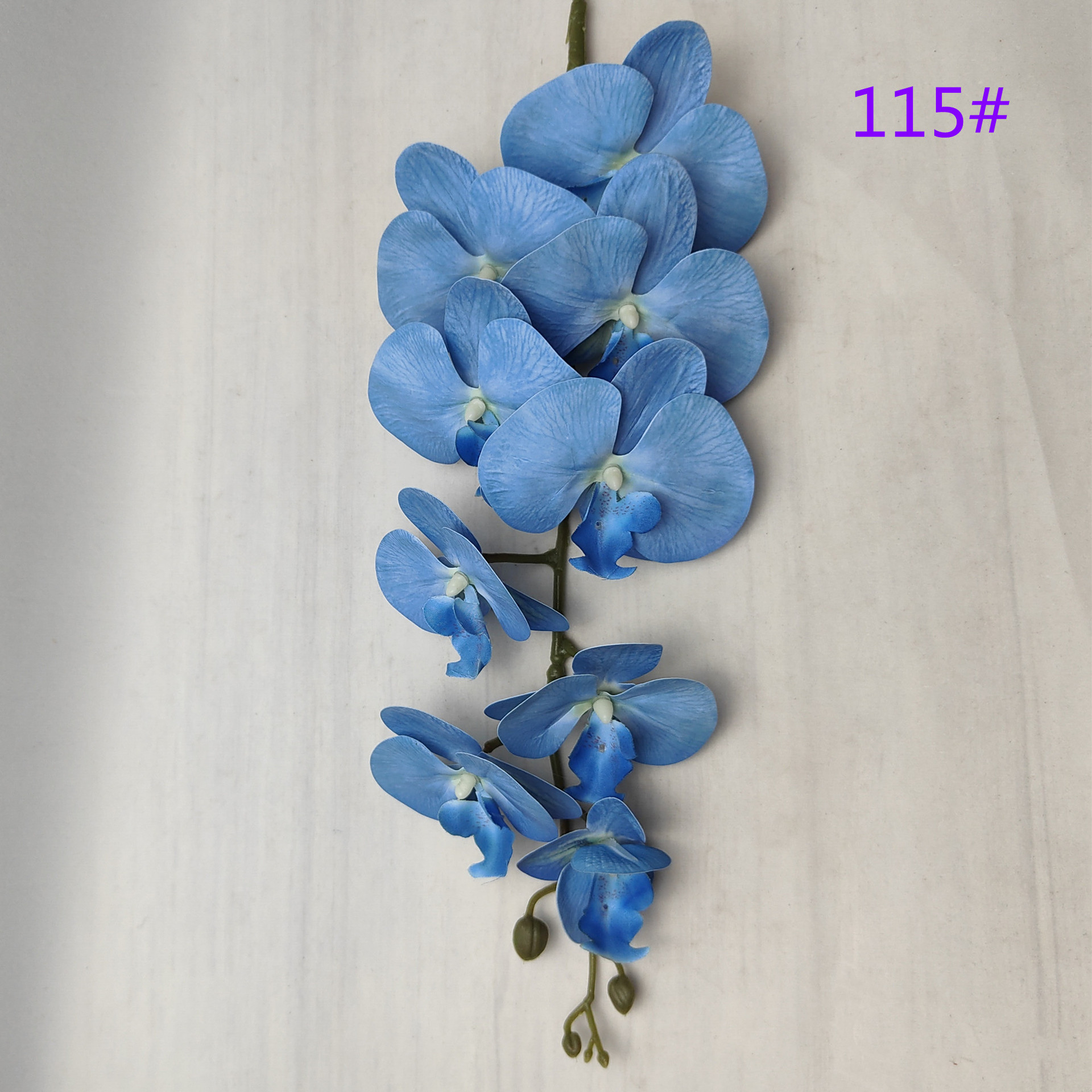 IMG20230510131943_副本