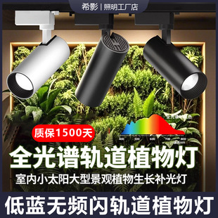 Green Plant Landscape Wall Plant Fill Light Led Imitation Sunlight Growth Light Gardening Flower Shop Full Spectrum Track Spotlight