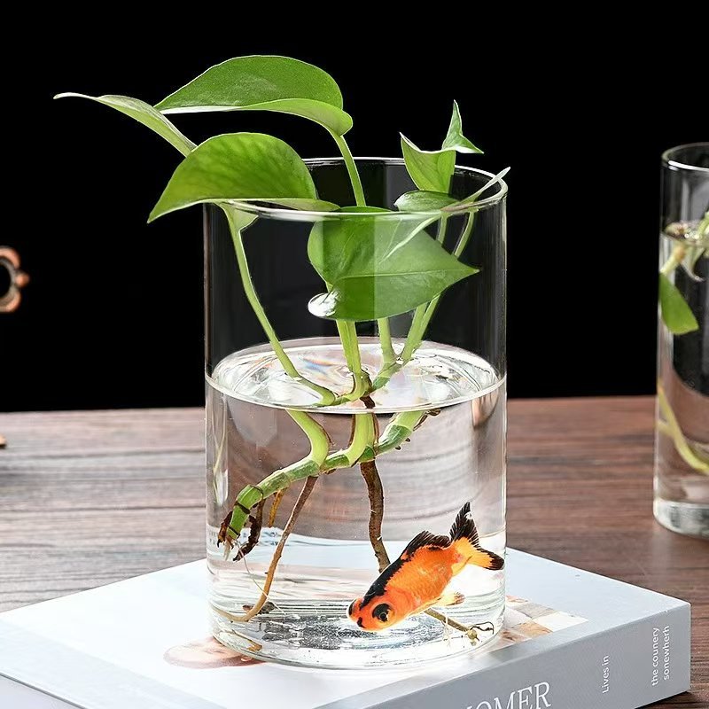 017805e8904c794f171865d89f6478