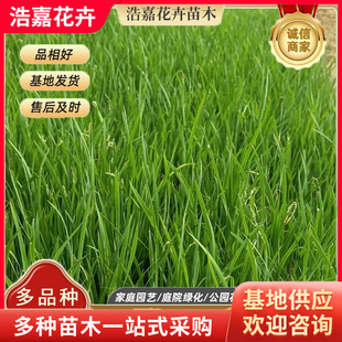 �Rɏ���N��ͥԺ�G���� �������� �R�A�绨�� �R�m����