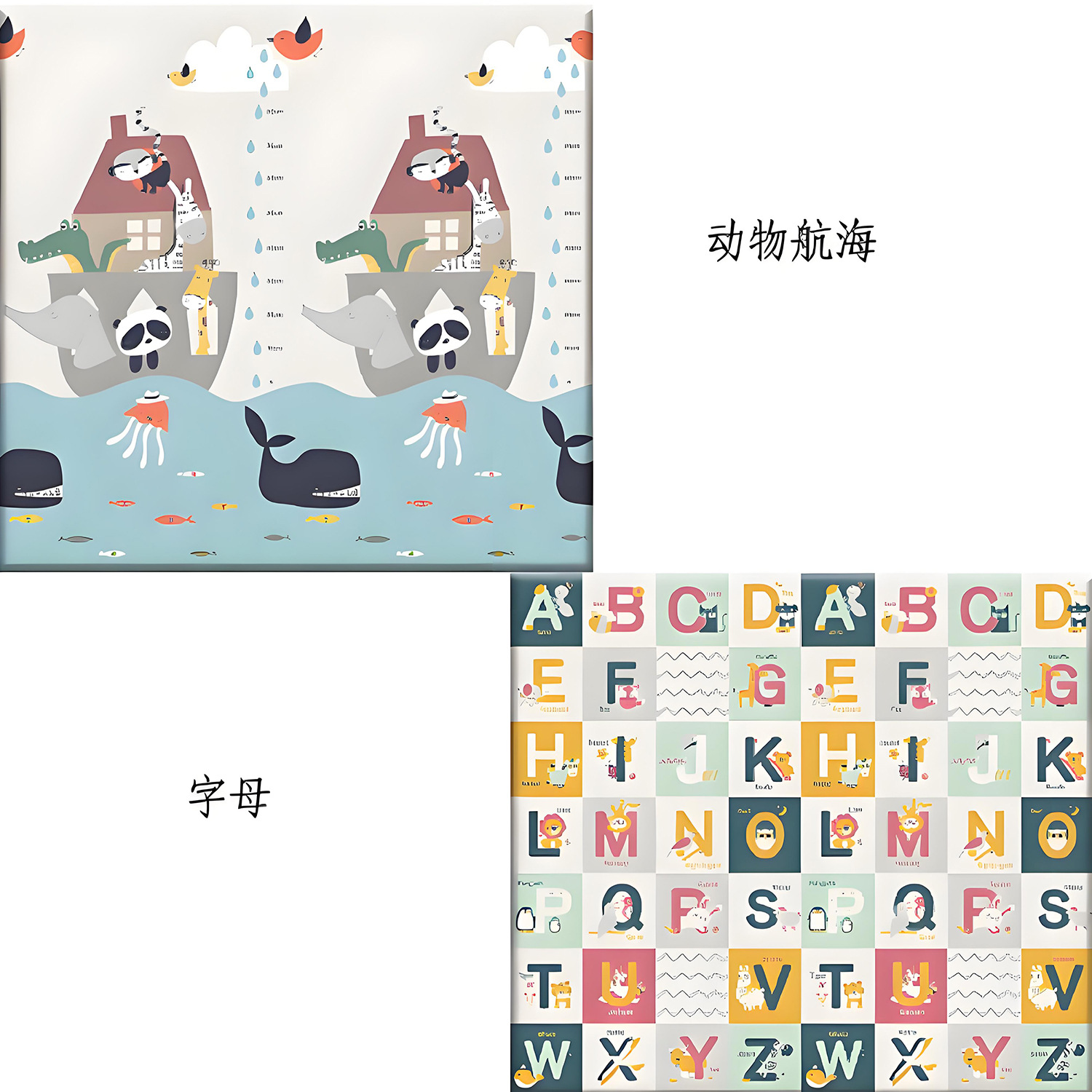 동물 항해 + 동물 알파벳