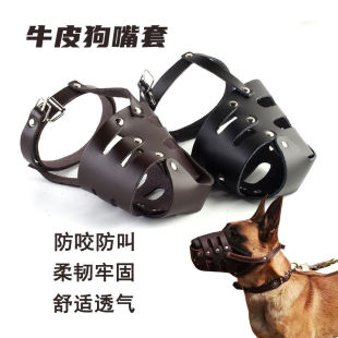 ţƤ��������С��Ȯ���RȮ���e�_���{������ҧ�˿���ȫ������