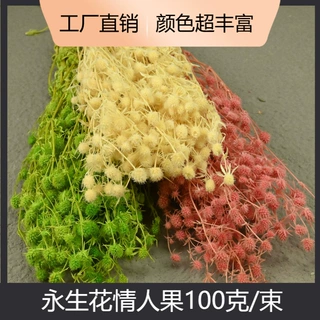 幻花永生花情人果100克/束diy材料包干花花束批发摆摊夜市鲜花