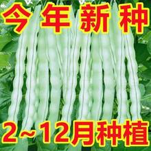 ժܿN߮aײ϶ǷNļρٶǷN