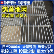 热镀锌鸽舍地网厂家钢格栅鸽棚养殖地网公棚围网钢网防腐网格板