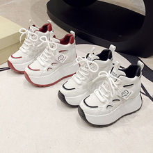 ϵЬŮ2025¿p㰢\ӼӽqЬߎЬ