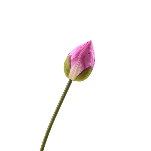 Lan Jin Wholesale Artificial Lotus Flower Fake Lotus Bud Home Decor New Chinese Zen Style Flower Arrangement Design