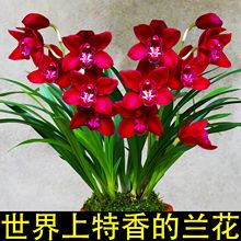 �m���������ļ��m�����_���҃��b����^�p�ݻ���