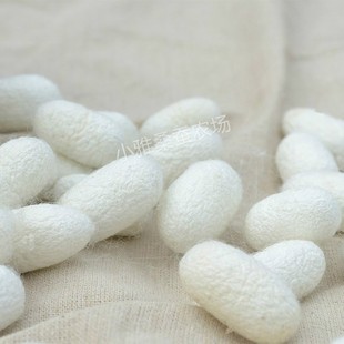 �S�ҡ�������������Ȼ��ɫɣ�Q�O ���O ���O���l  ��Ӽ�Oɣ�Q�z