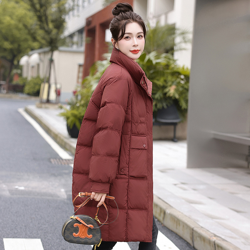앙고라 레드
