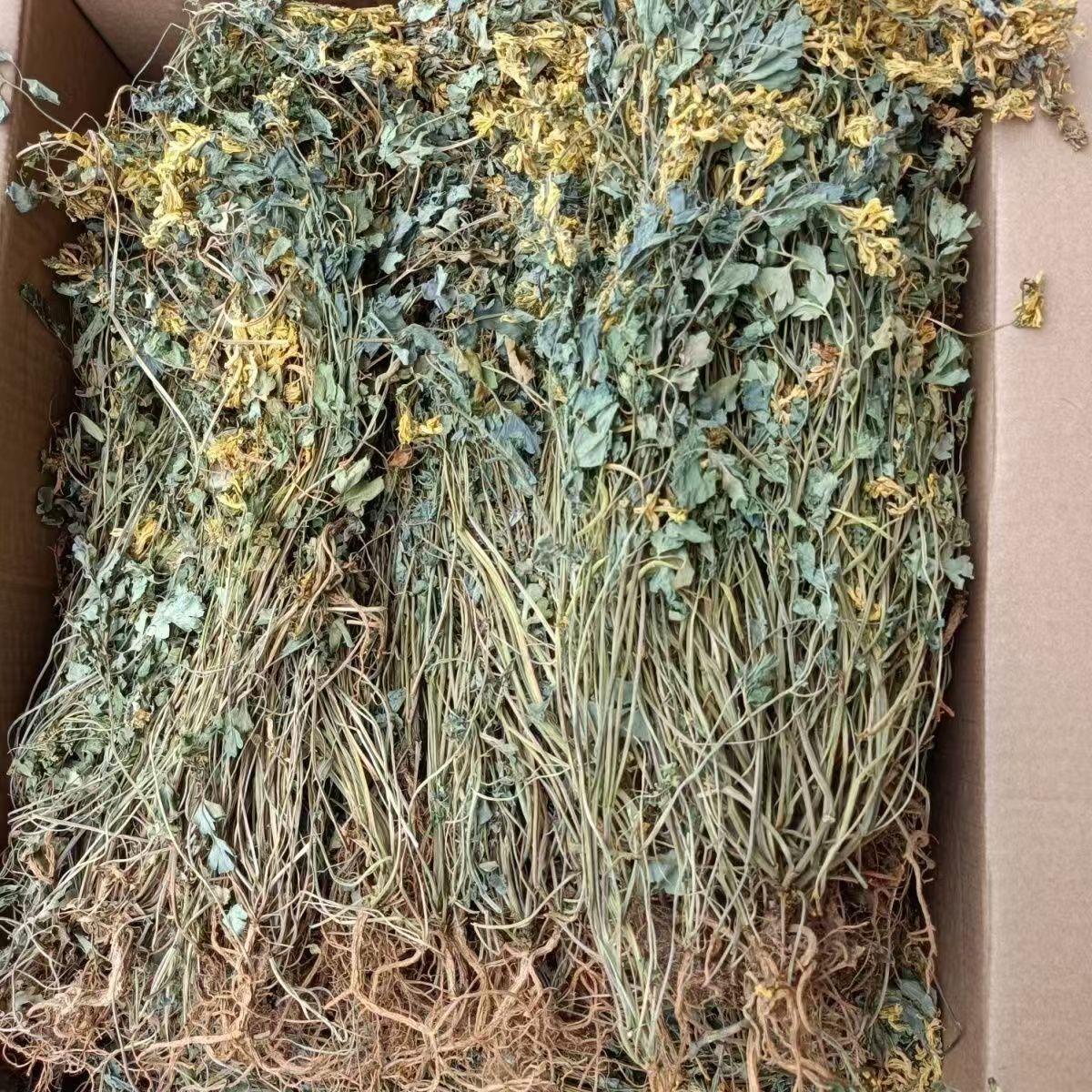 Yan Huang Lian Root (Corydalis saxicola) — Dried Bitter Food Herb for Cooking & Decoction in use