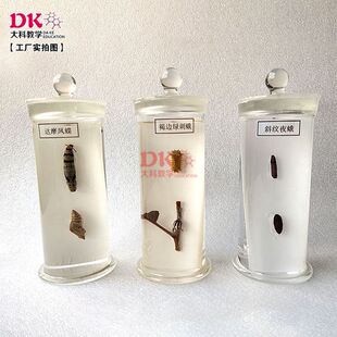 ��ƽ̌W �x�����Ƙ˱� �S���x Ҏ��75*180mm �r�WԺ�̌W�˱�չʾ