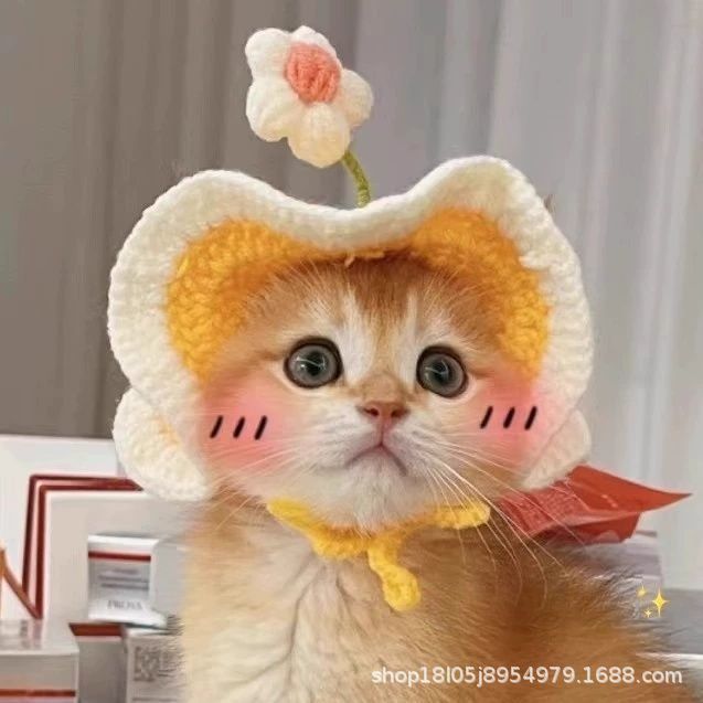 宠物头套猫咪狗狗编织帽子道具头饰搞笑变身服批发