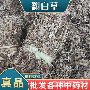 ���ײ��~�°�����ذ�ǧ�N����ș�ķ��ײ��䱳ș���в�ș���l���l