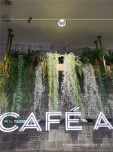 �Gֲ�ڒ촹���ٗl�Gɫֲ����m��˹ާ��ڹܵ�����T�^�b�